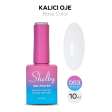 Shelby Kalıcı Oje No:003 10 ml