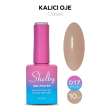 Shelby Kalıcı Oje No:017 10 ml