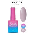 Shelby Kalıcı Oje No:037 10 ml