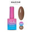 Shelby Kalıcı Oje No:042 10 ml