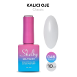 Shelby Kalıcı Oje No:046 10 ml
