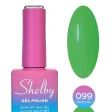 Shelby Kalıcı Oje No:099 10 ml