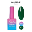 Shelby Kalıcı Oje No:100 10 ml