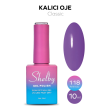 Shelby Kalıcı Oje No:118 10 ml