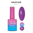 Shelby Kalıcı Oje No:119 10 ml