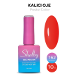 Shelby Kalıcı Oje No:162 10 ml