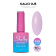 Shelby Kalıcı Oje No:168 10 ml