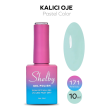 Shelby Kalıcı Oje No:171 10 ml