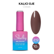 Shelby Kalıcı Oje No:212 10 ml