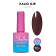 Shelby Kalıcı Oje No:213 10 ml