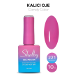 Shelby Kalıcı Oje No:221 10 ml