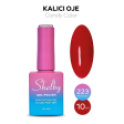 Shelby Kalıcı Oje No:223 10 ml