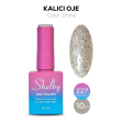 Shelby Kalıcı Oje No:227 10 ml