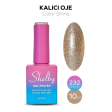 Shelby Kalıcı Oje No:232 10 ml