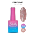 Shelby Kalıcı Oje No:258 10 ml