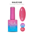 Shelby Kalıcı Oje No:270 10 ml