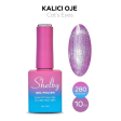Shelby Kalıcı Oje No:280 10 ml