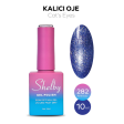 Shelby Kalıcı Oje No:282 10 ml
