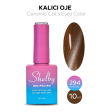 Shelby Kalıcı Oje No:294 10 ml